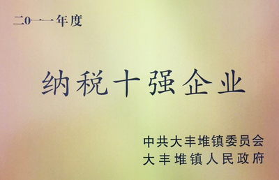纳税十强企业